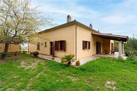 Finca i Selva, Mallorca, Selva - € 1.800.000 | Ref: 46222 - foto 21